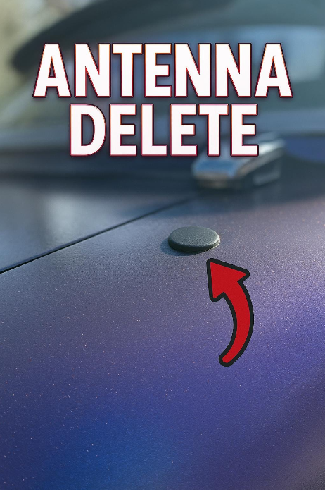 Antenna Delete Plug